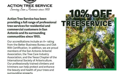 Lorin’s Tree Service, LLC DBA Action Tree Service