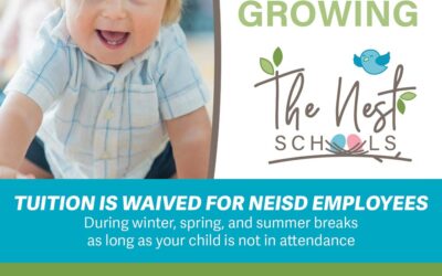 The Nest Schools